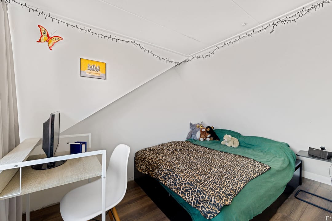 Foto 26 van Dahliastraat 52