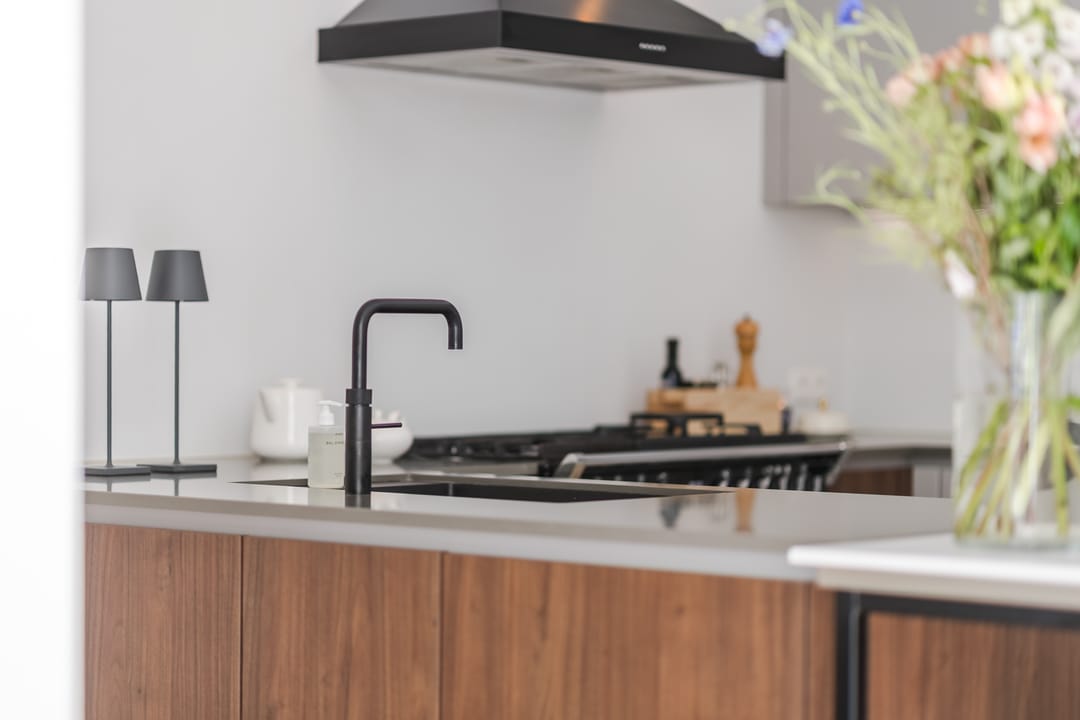 Foto 23 van Zilvervlek 23