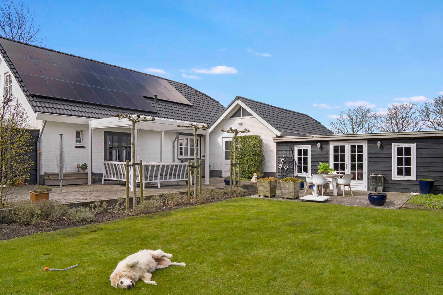 Photo 5 of Bachlaan 46