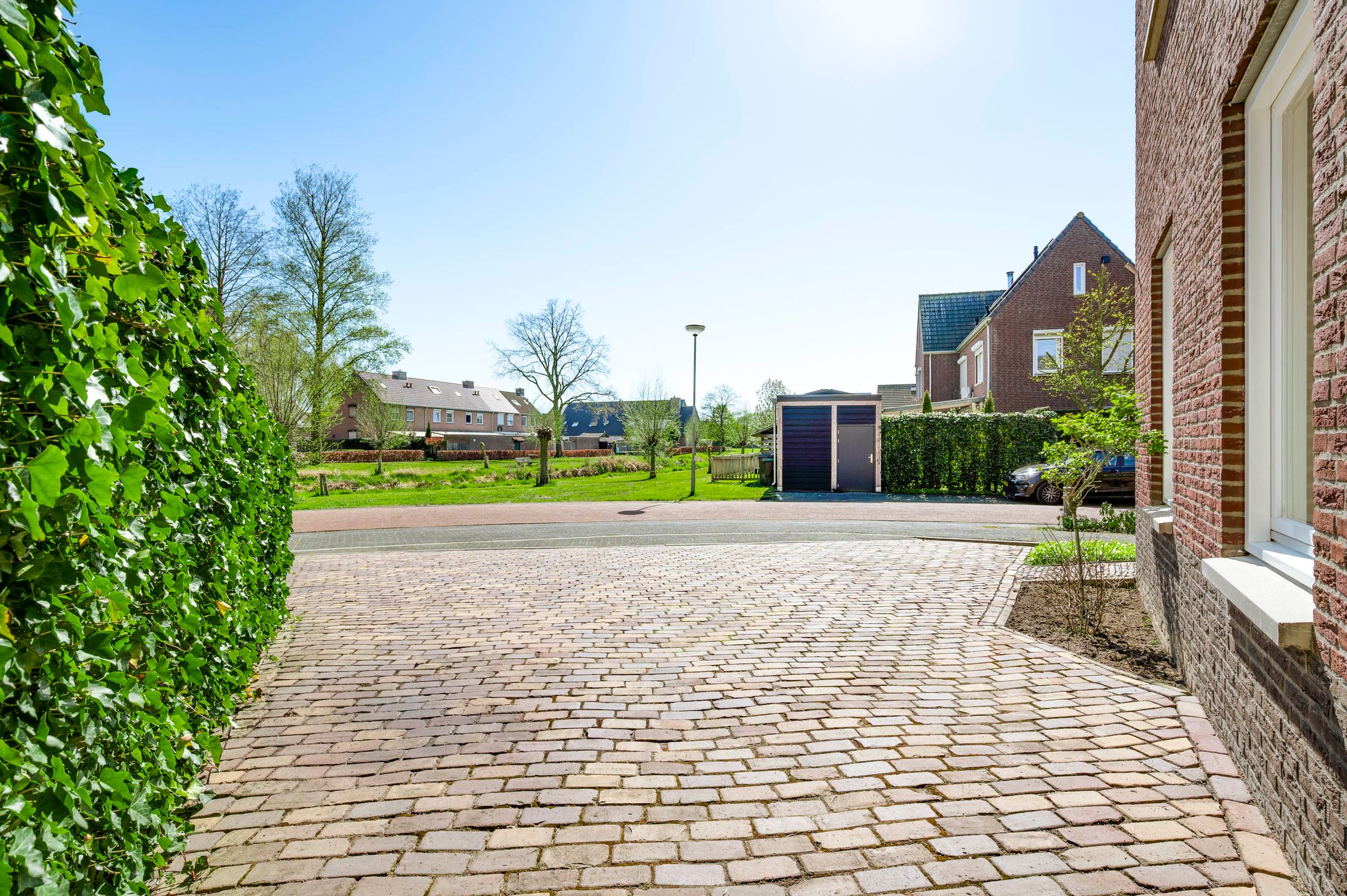 Foto 9 van Lisdodde 12-B