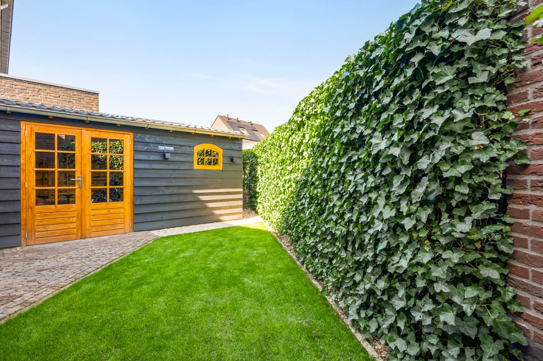 Foto 46 van Lisdodde 12-B