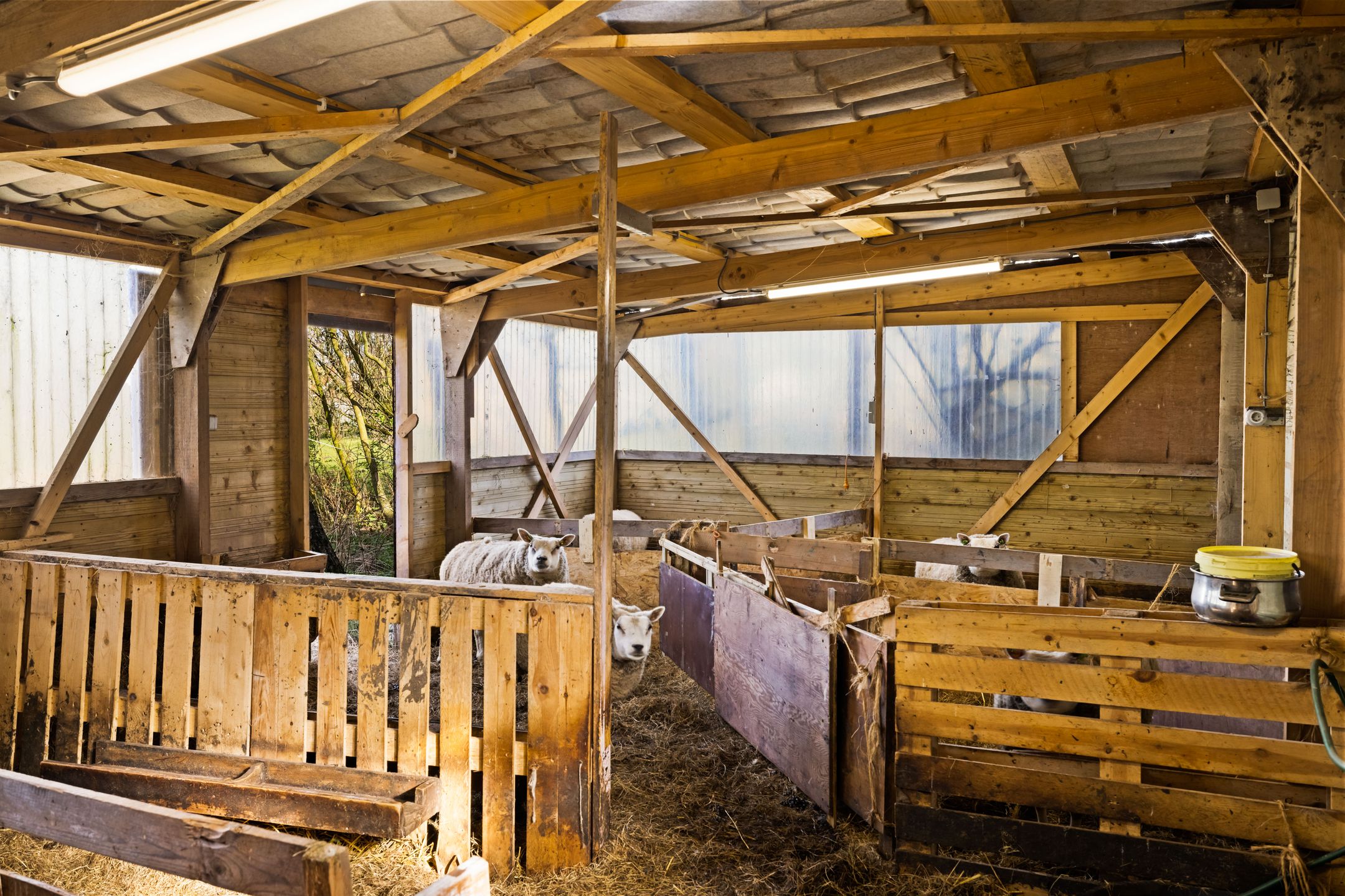 Photo 78 of De Haal 85