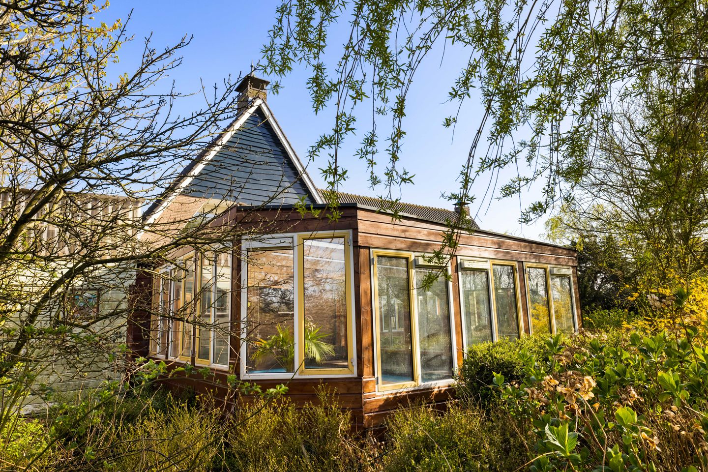 Photo 80 of De Haal 85