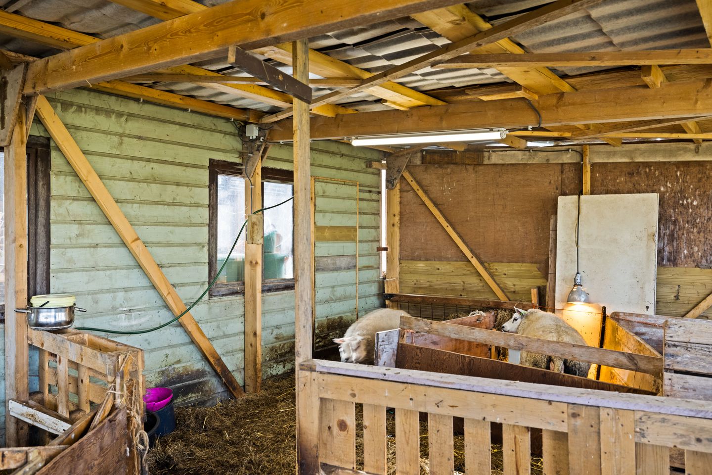 Photo 79 of De Haal 85