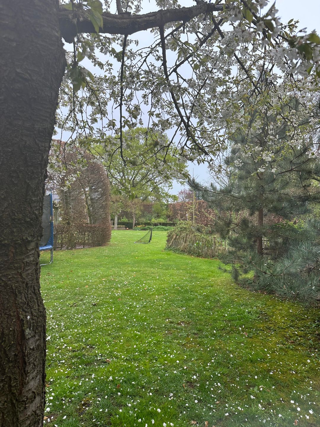 Foto 2 van Gildeweg
