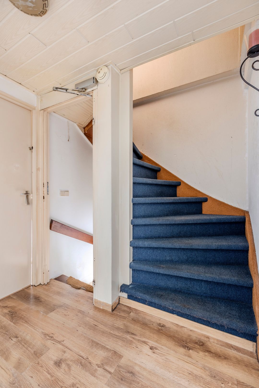 Foto 13 van Mascagnihof 618