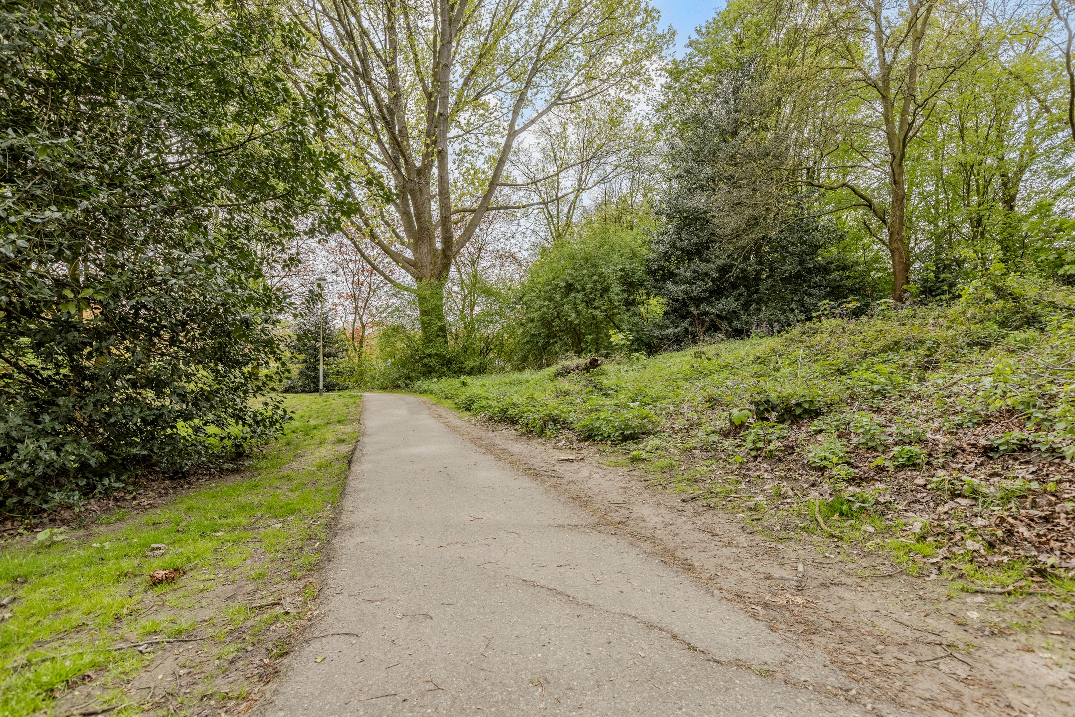 Foto 33 van Mascagnihof 618