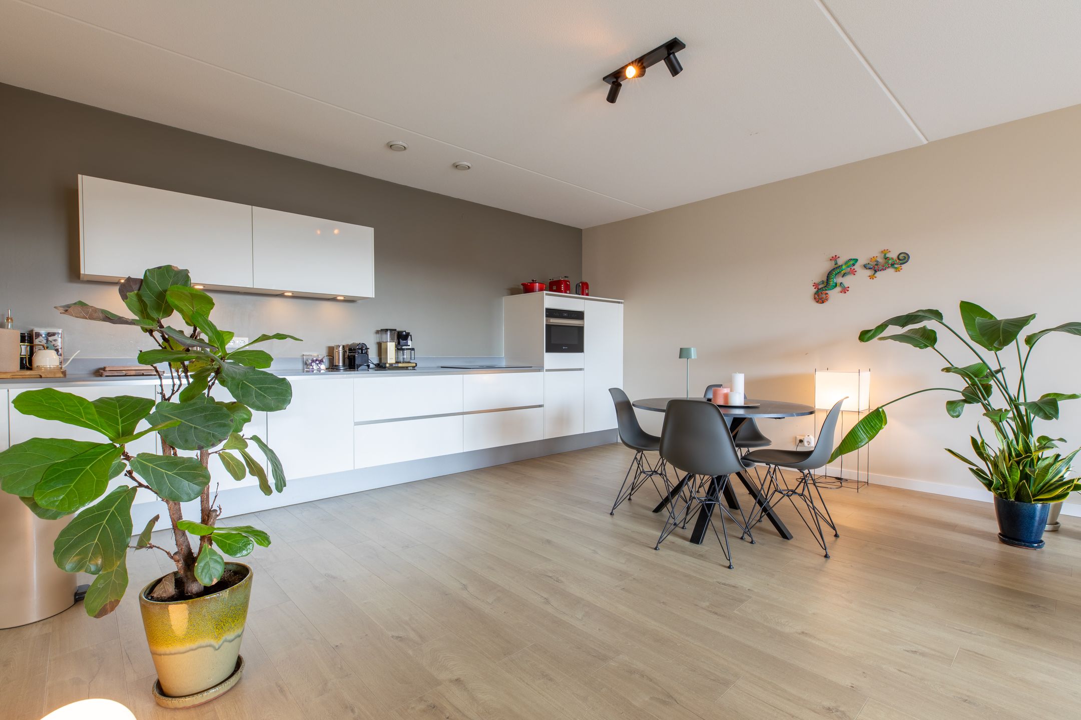 Photo 9 of De Cassij 1-D08