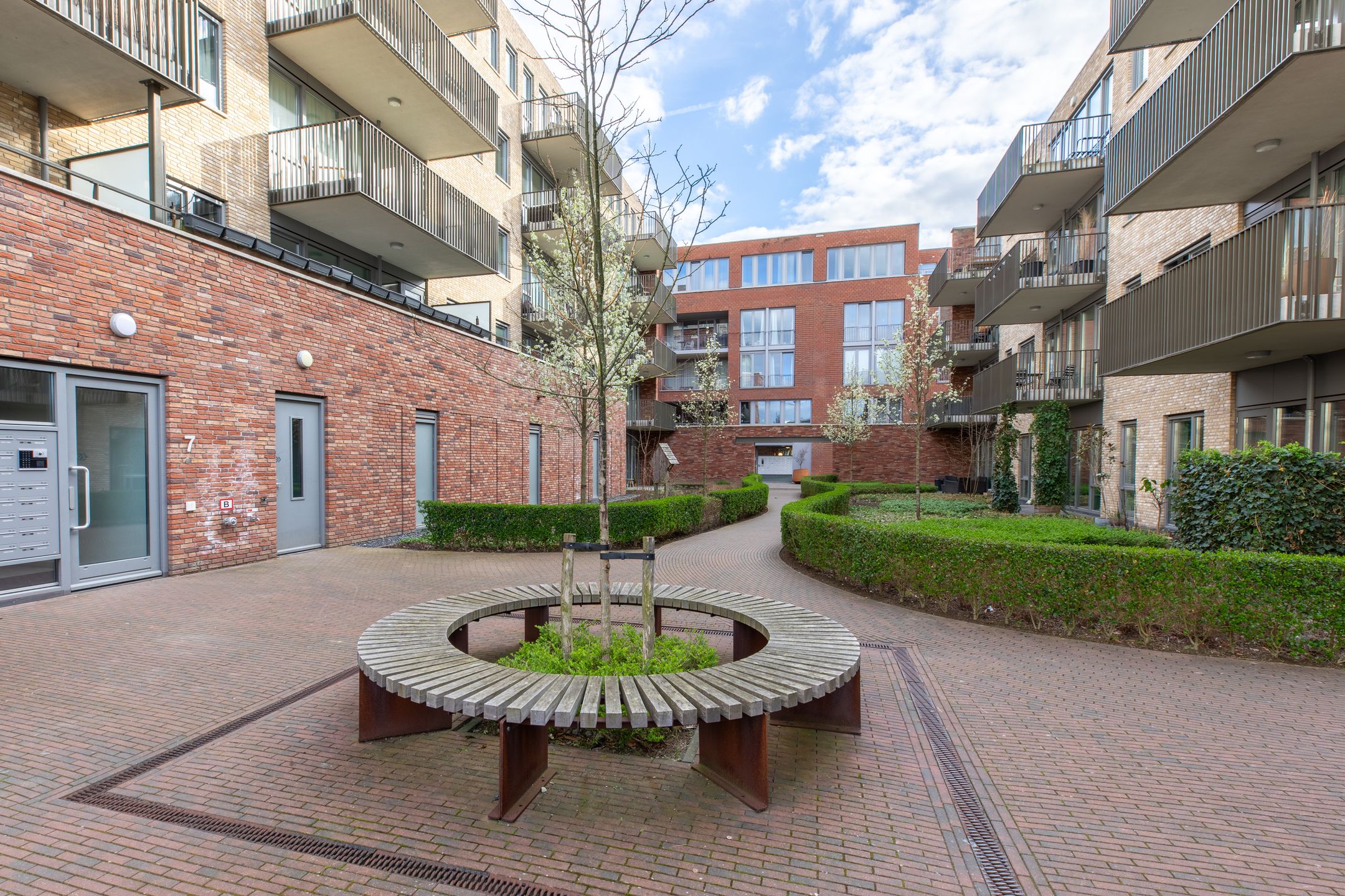 Photo 21 of De Cassij 1-D08