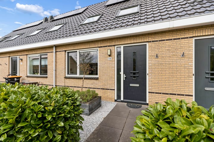 Foto 3 van De Bente 36