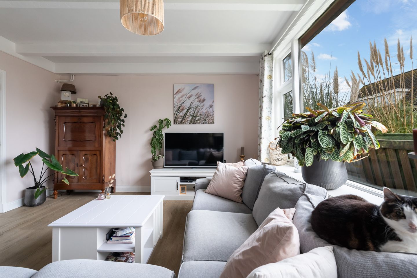 Foto 20 van Kniplaan 1