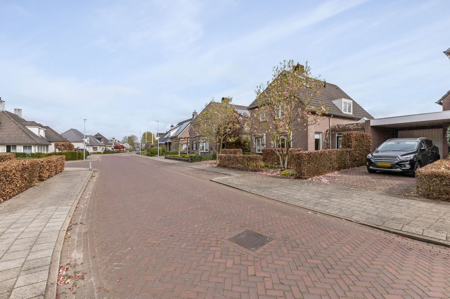 Foto 55 van Ruiske 5