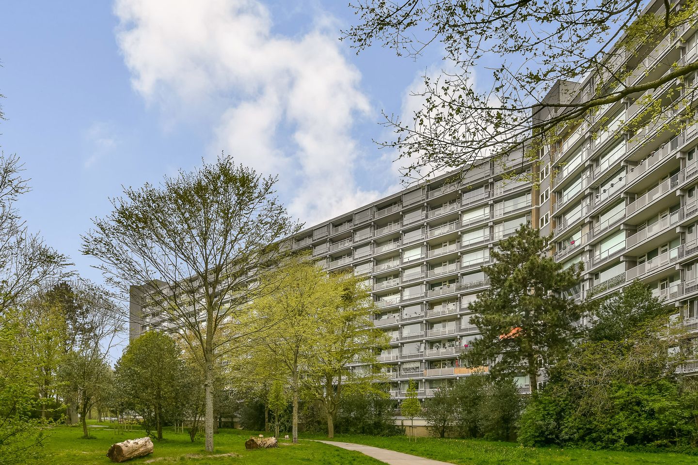 Foto 4 van Griegplein 141