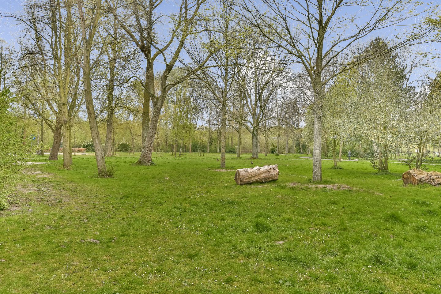 Foto 25 van Griegplein 141