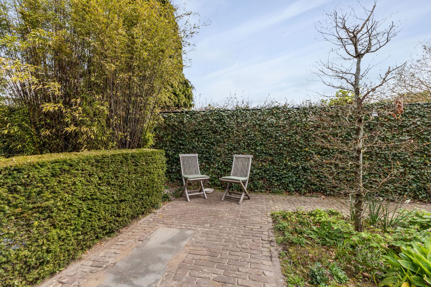 Foto 50 van Ruiske 5