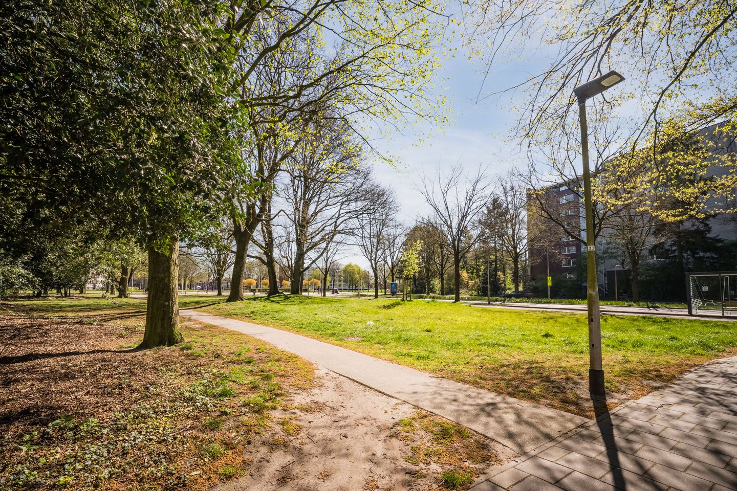 Foto 50 van Azuurweg 336