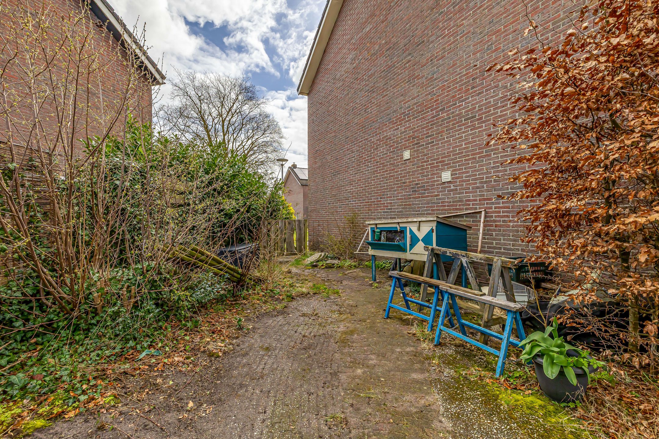 Photo 54 of Borghoornsweg 42