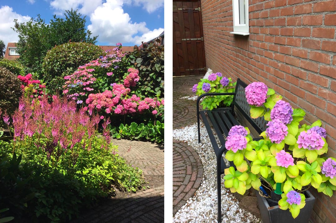 Foto 23 van Helsinkipad 17