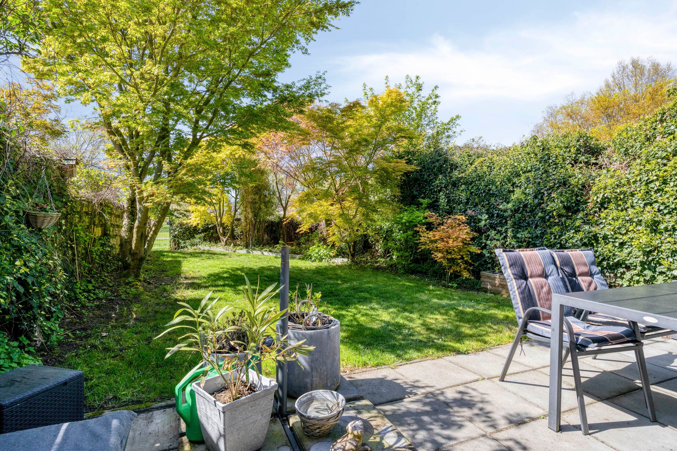 Photo 6 of Versailleslaan 35