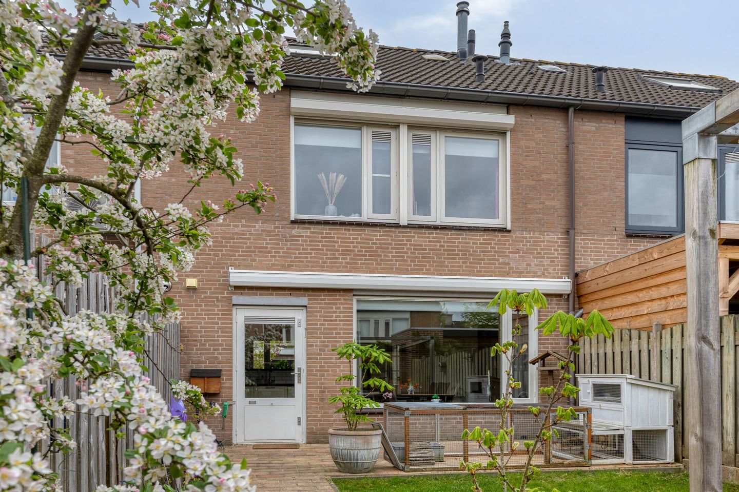 Foto 34 van Lijsterbes 47