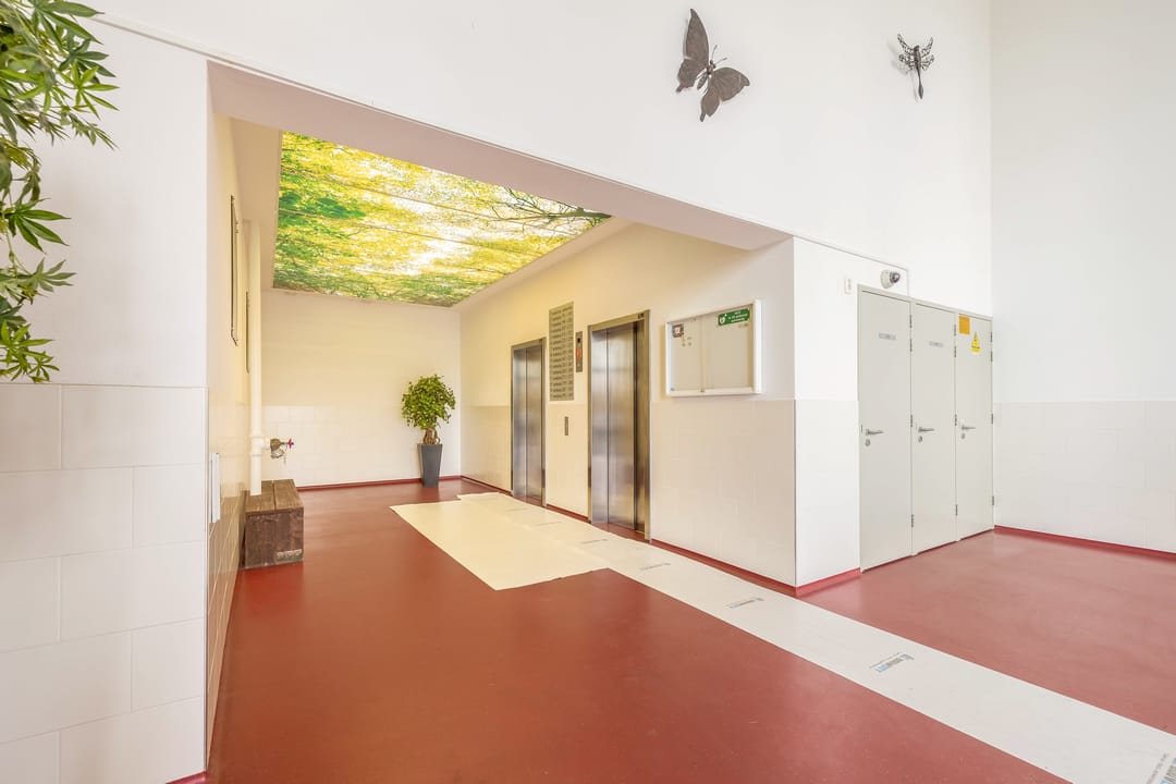 Foto 7 van Buizerdhof 257