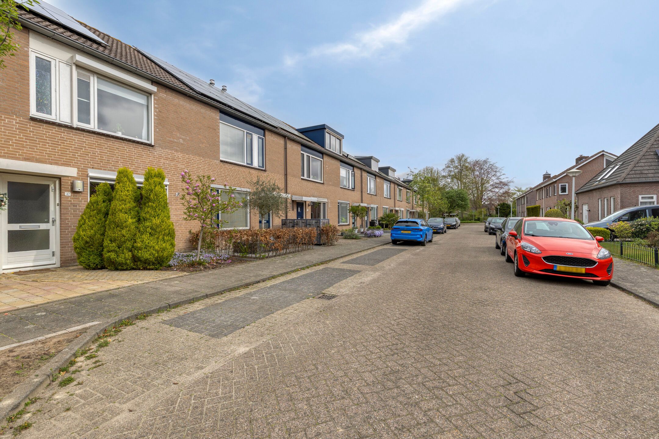 Foto 36 van Lijsterbes 47