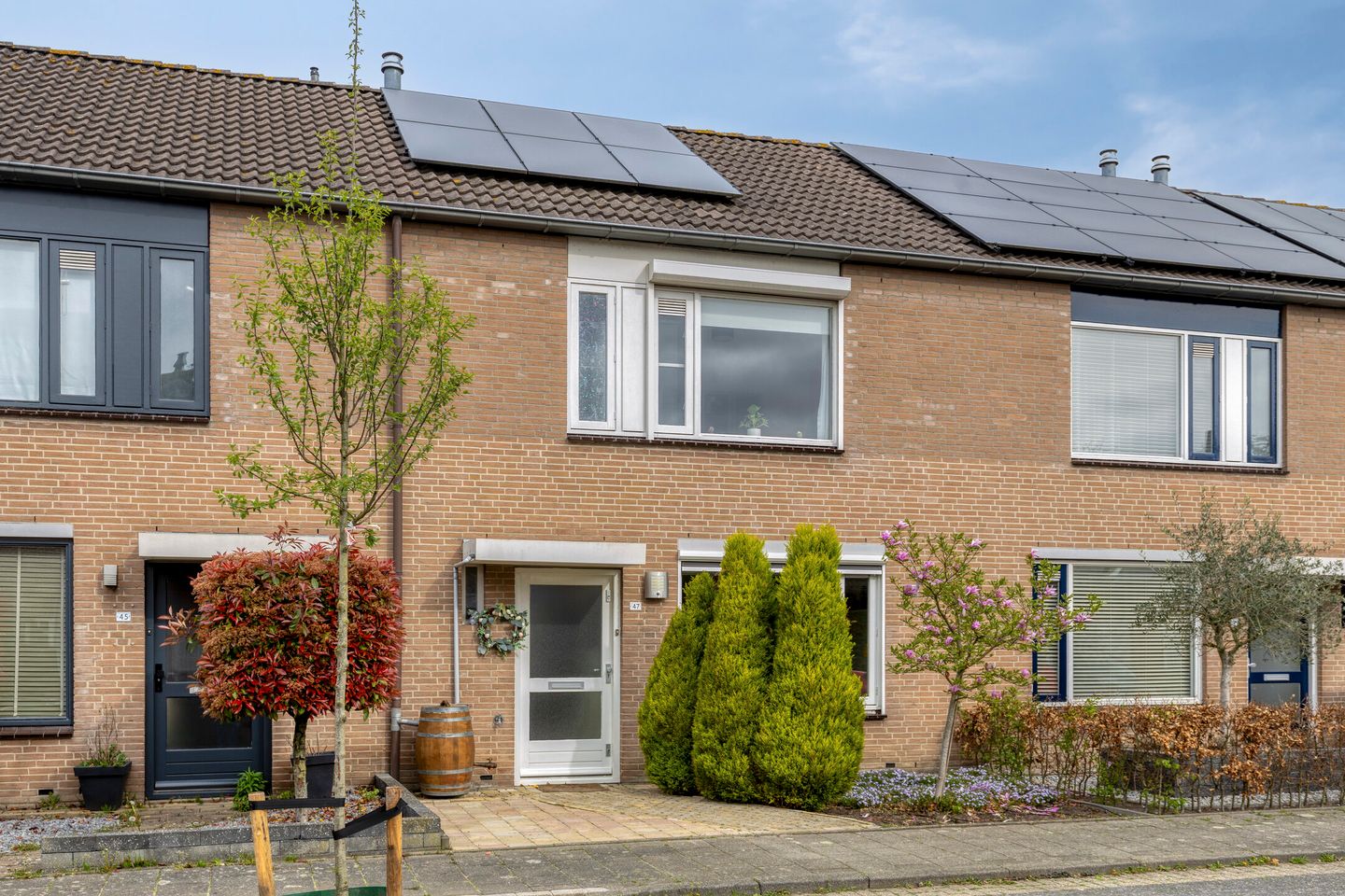 Foto 4 van Lijsterbes 47