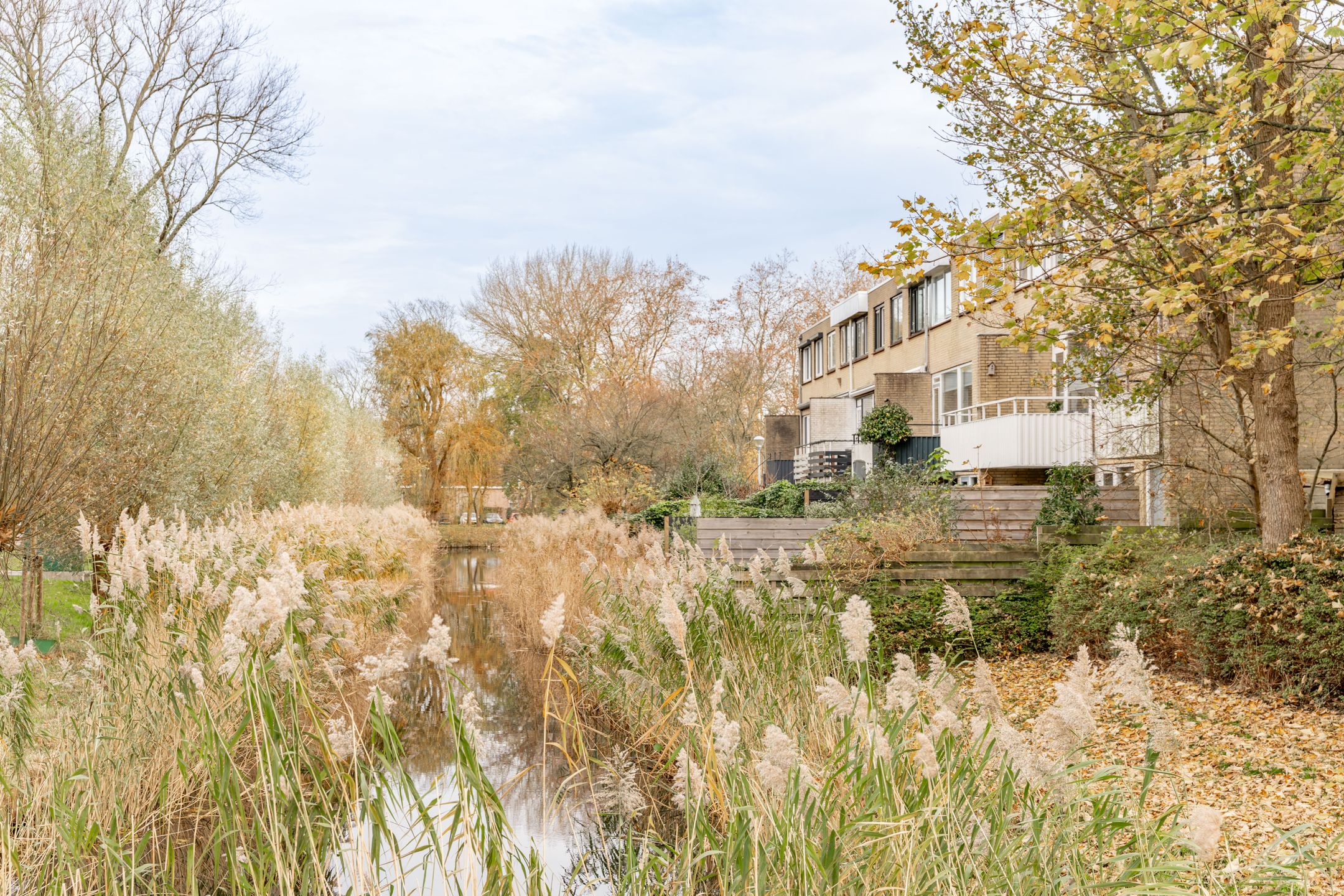 Foto 42 van Van den Berghlaan 461