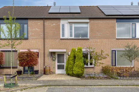 Lijsterbes thumbnail