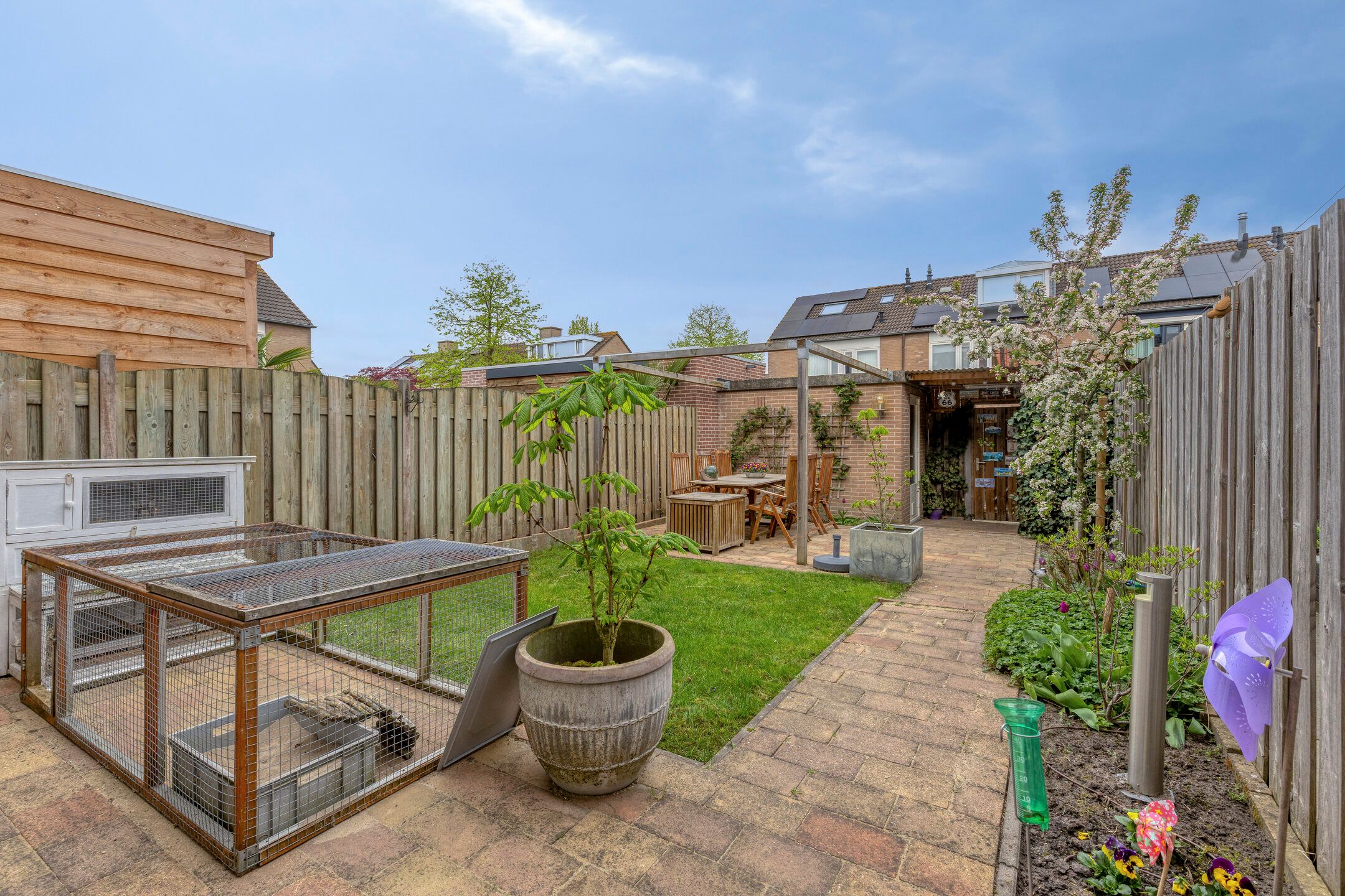 Foto 3 van Lijsterbes 47