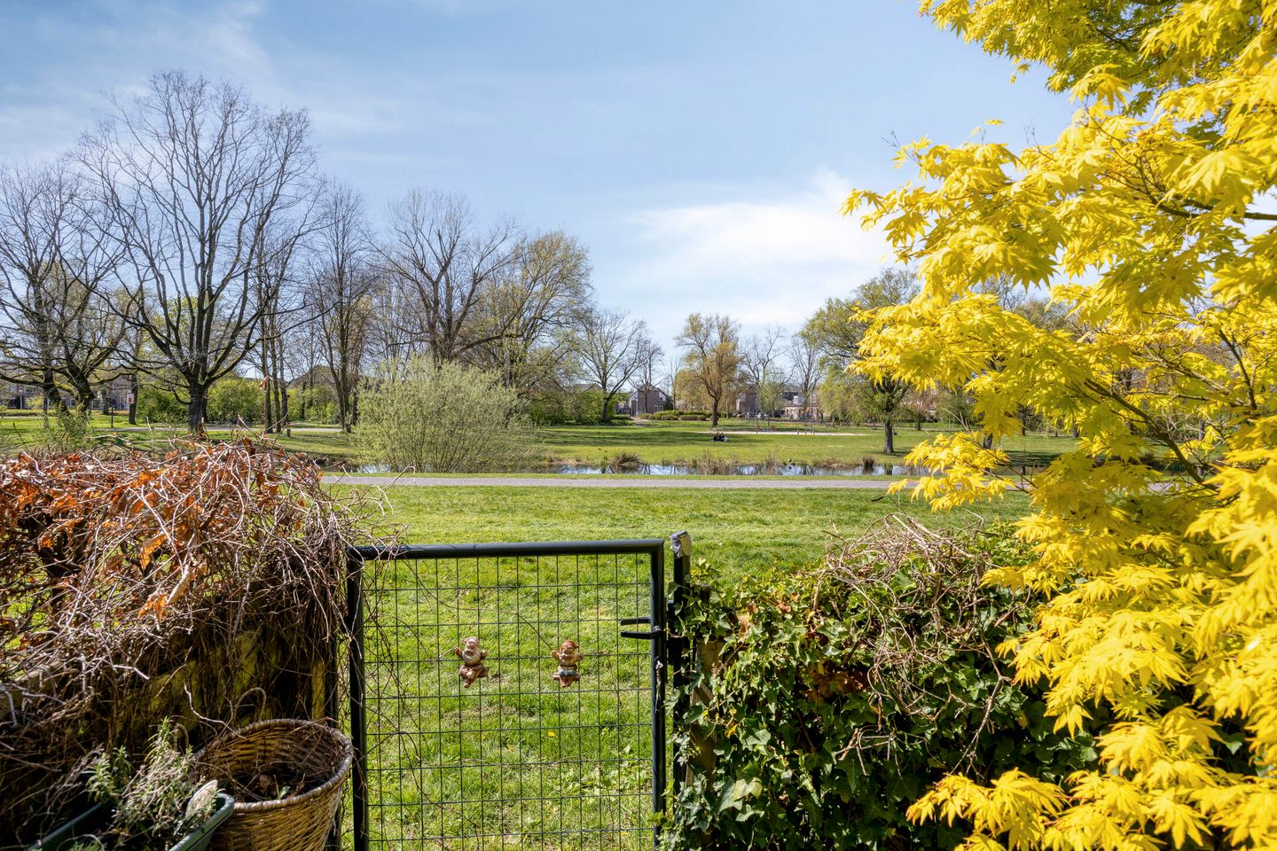 Photo 40 of Versailleslaan 35