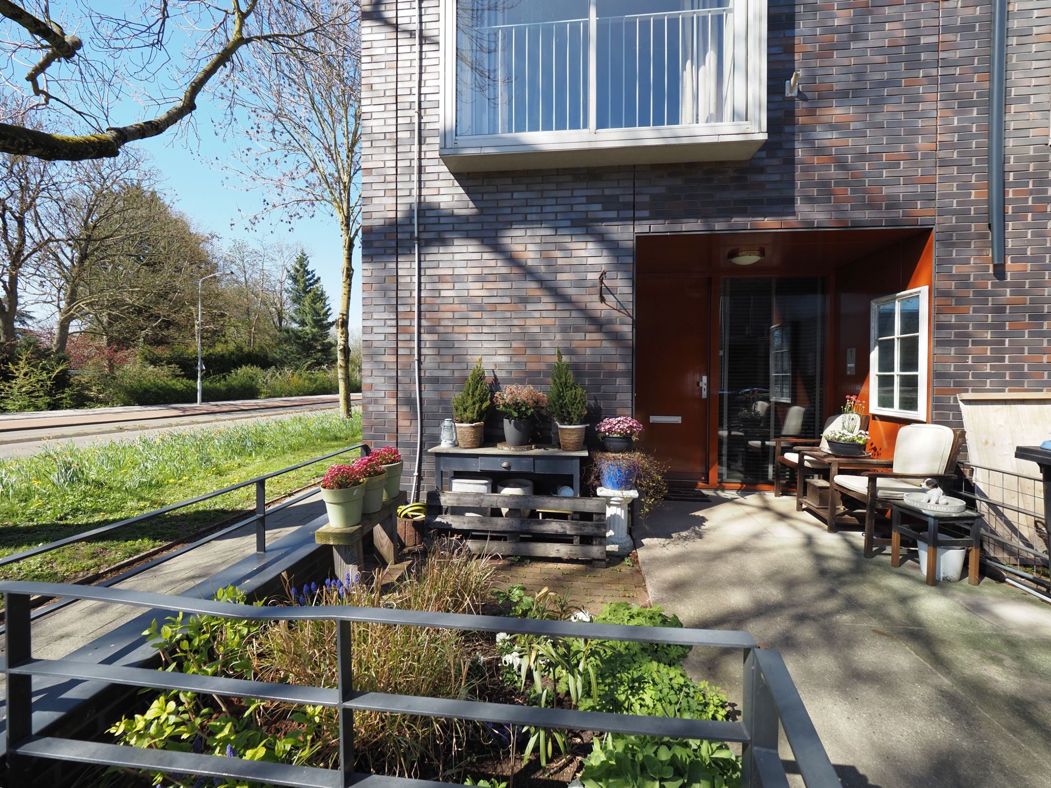 Photo 3 of Blauw druifje 1