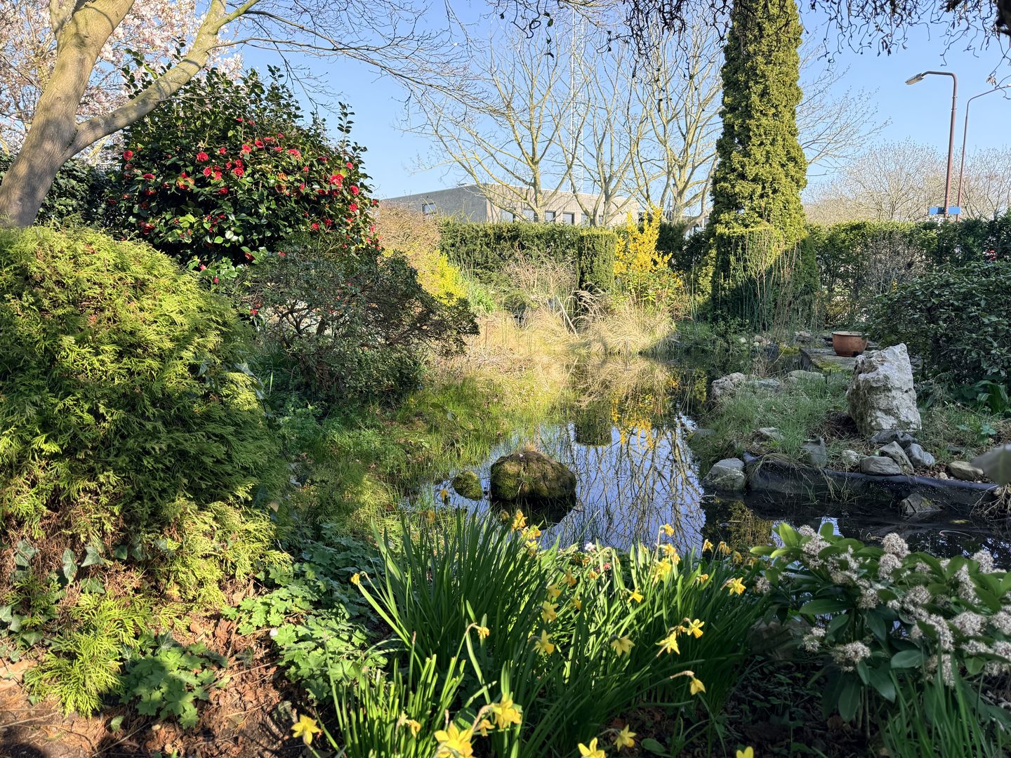 Foto 29 van Bosschendijk 185