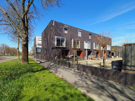 Blauw druifje thumbnail