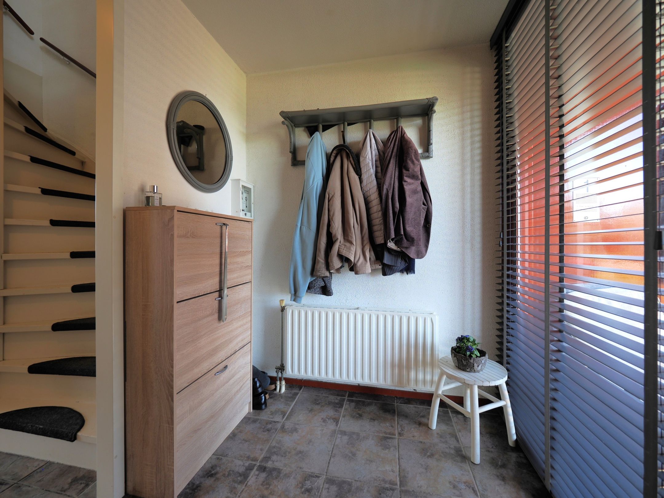 Photo 6 of Blauw druifje 1