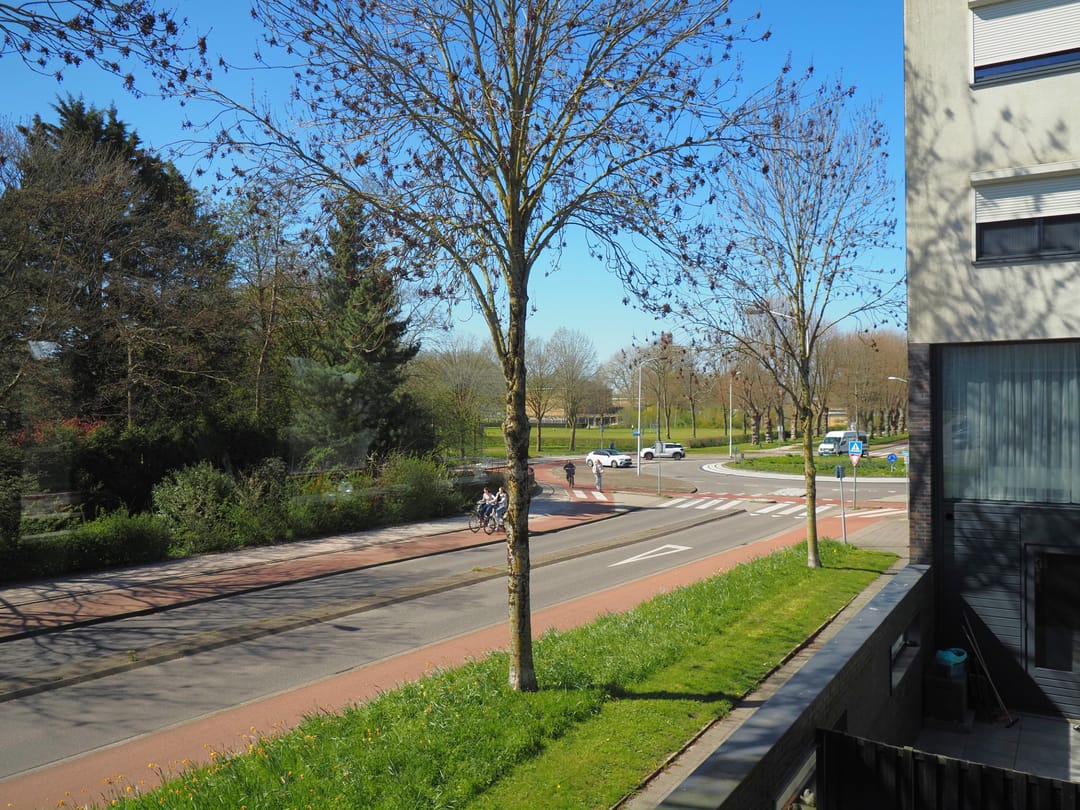 Photo 22 of Blauw druifje 1