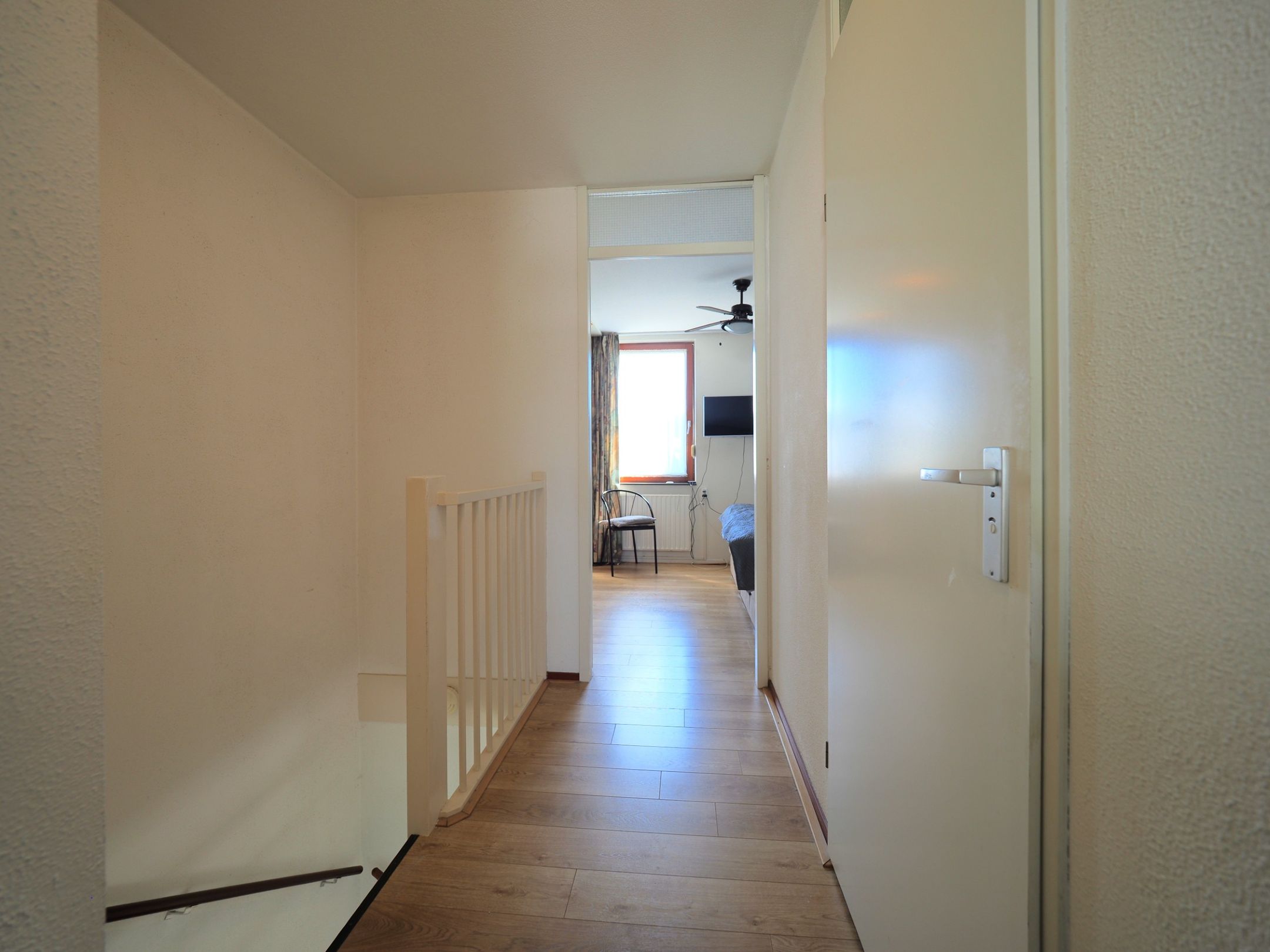 Photo 30 of Blauw druifje 1