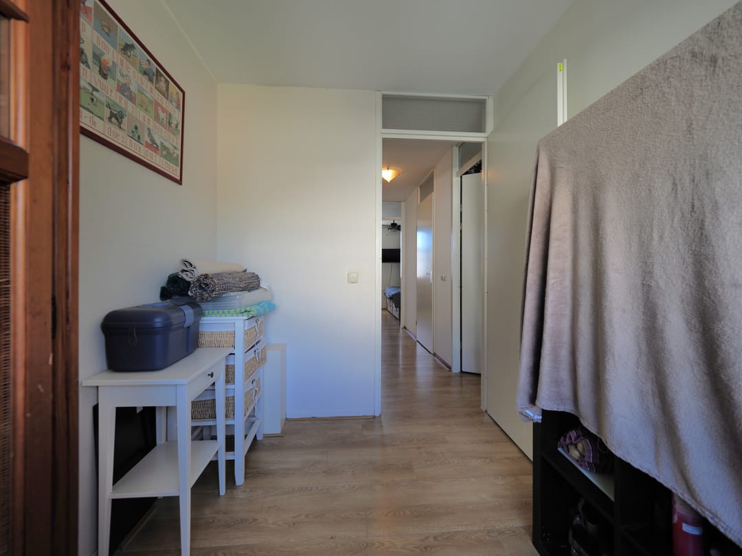 Photo 37 of Blauw druifje 1