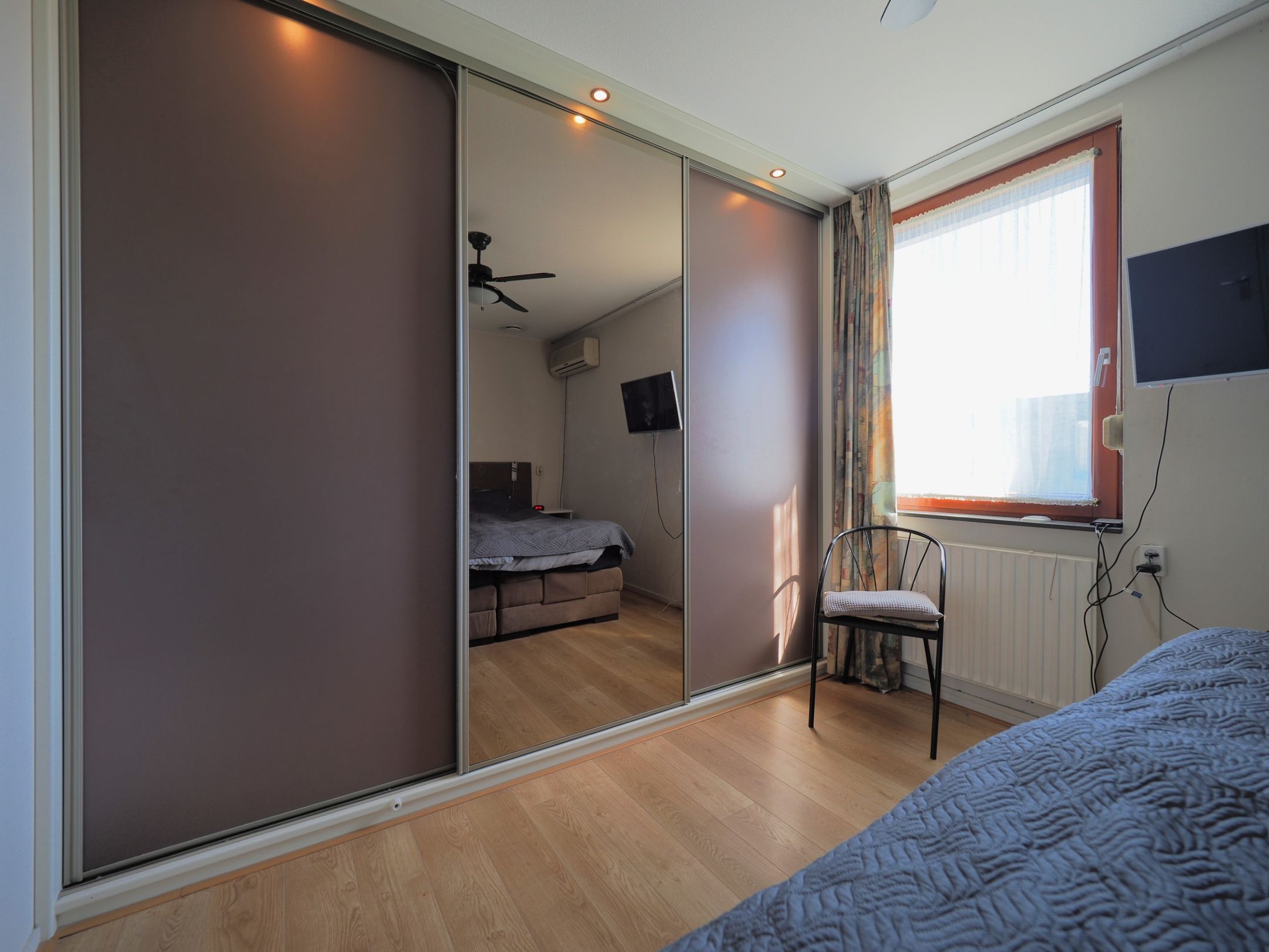 Photo 33 of Blauw druifje 1