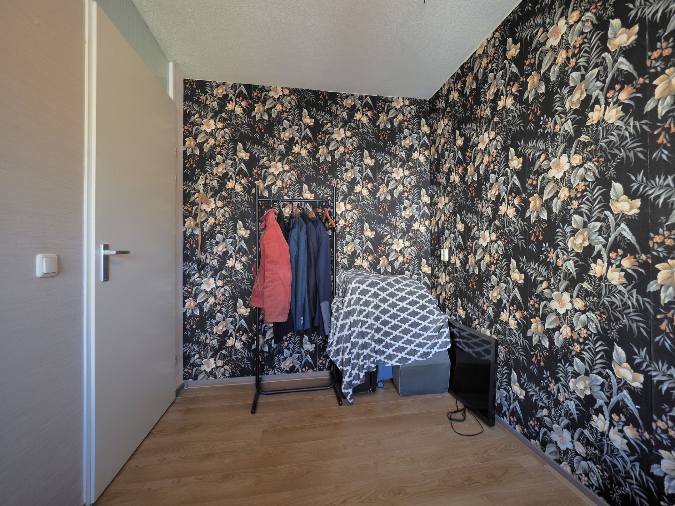 Photo 36 of Blauw druifje 1