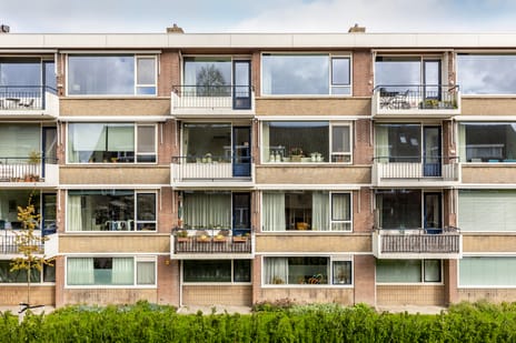 Adrianalaan thumbnail