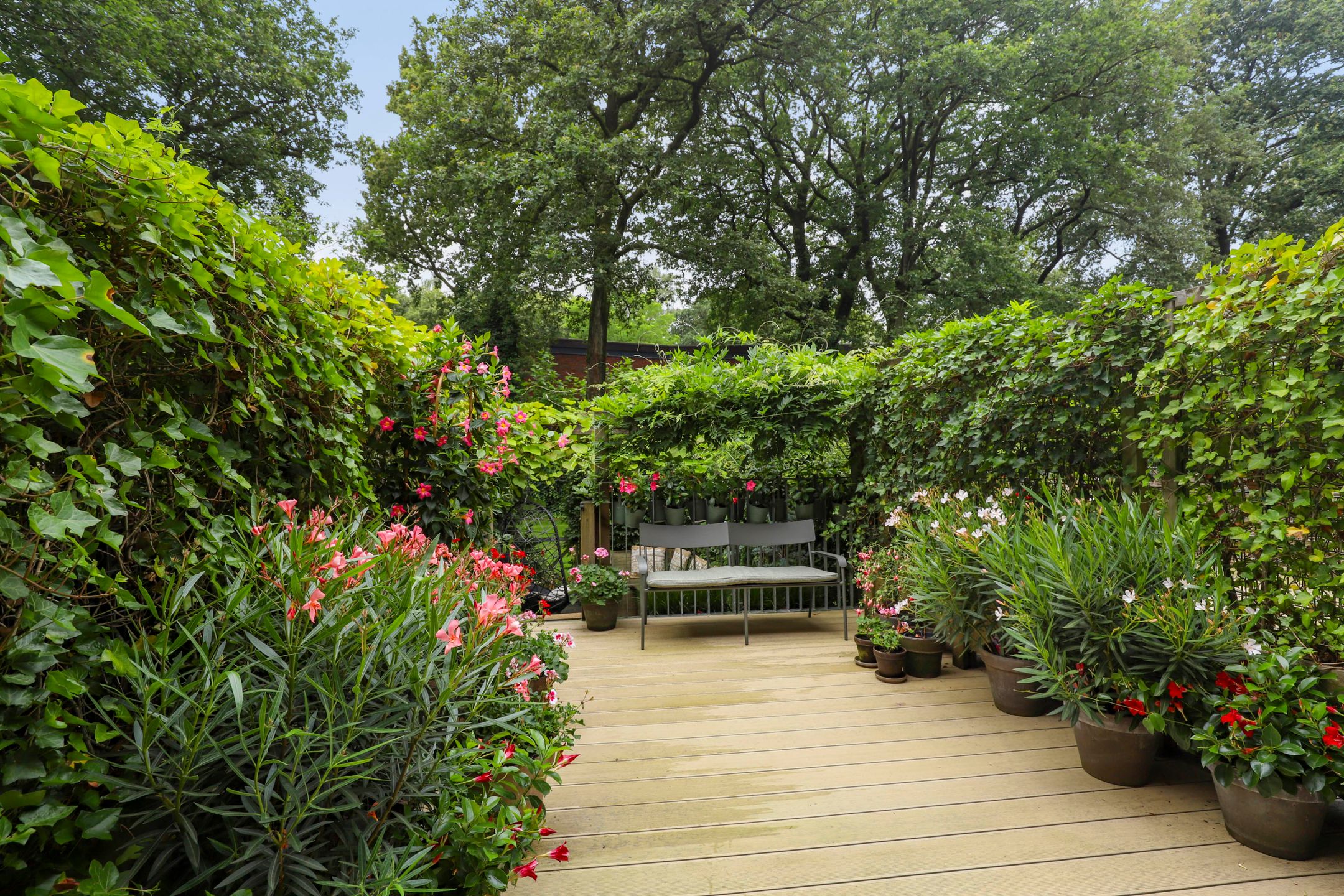 Foto 36 van Berkenlaan 117