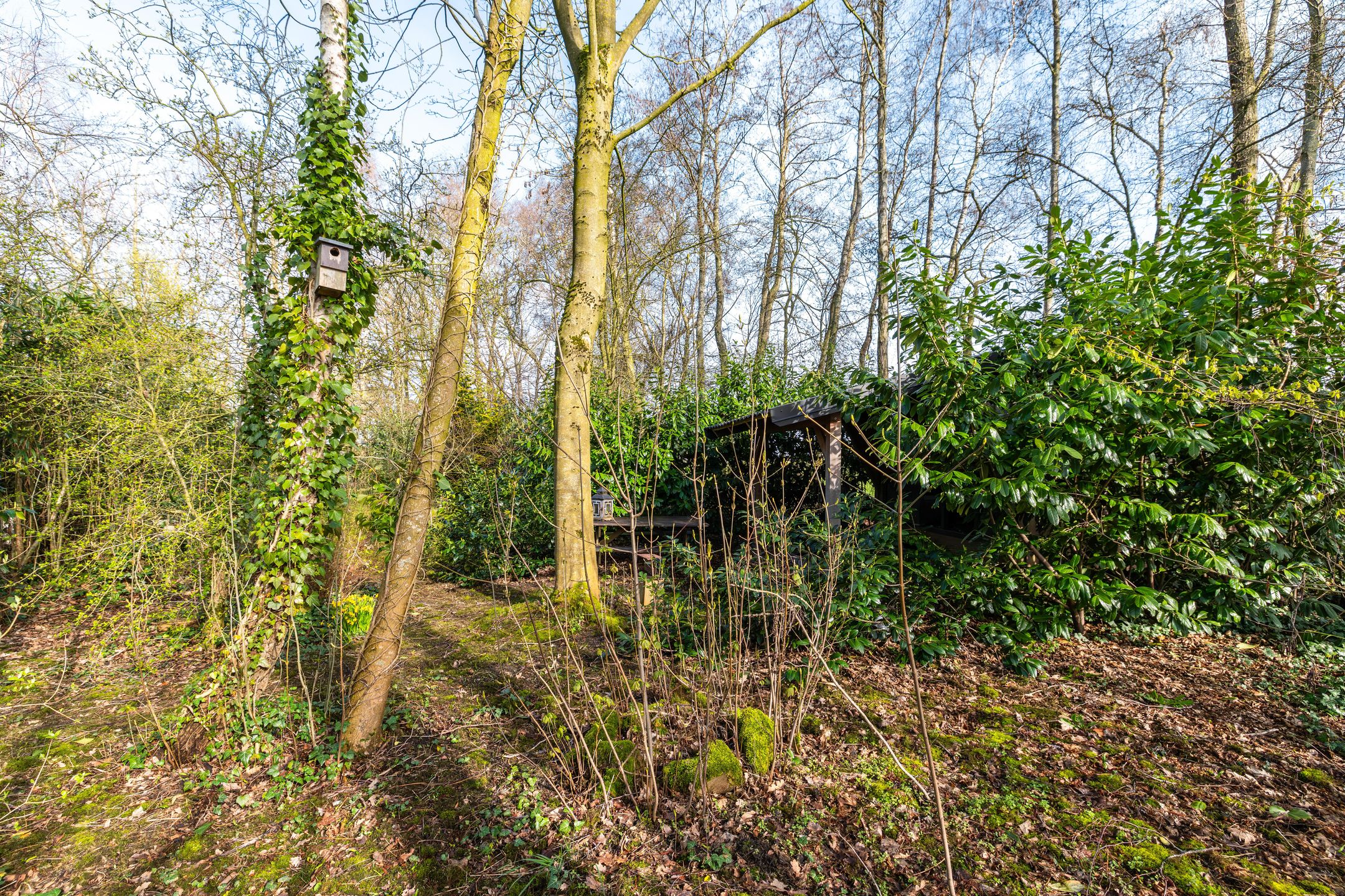 Foto 51 van Lagelandsterweg 7