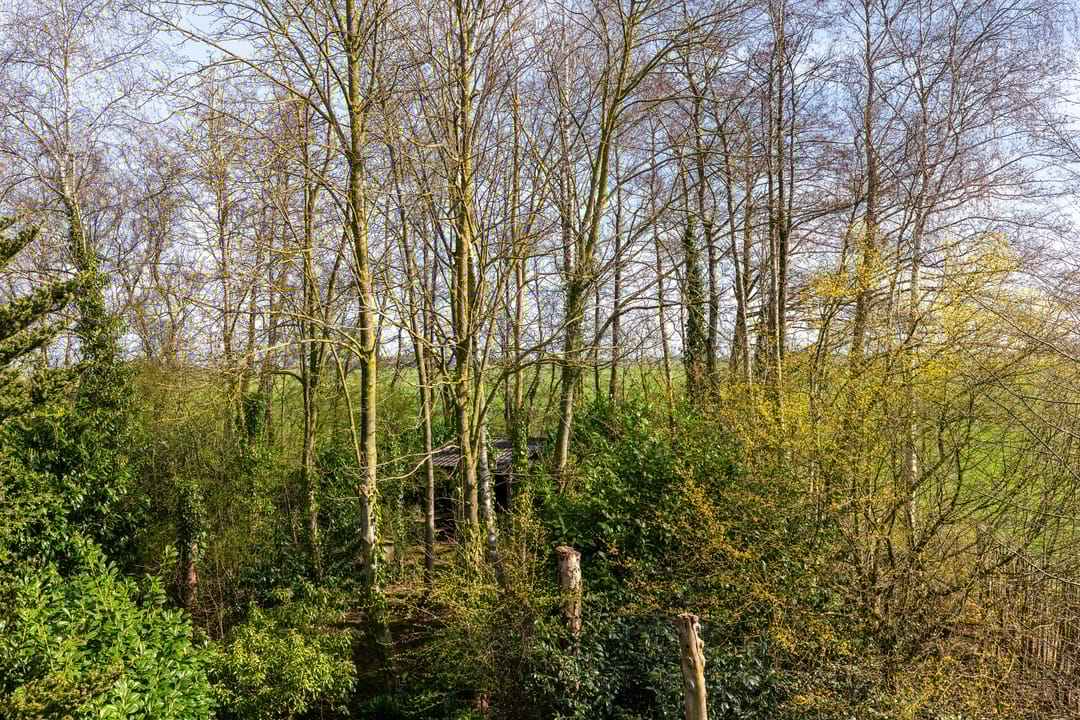 Foto 52 van Lagelandsterweg 7