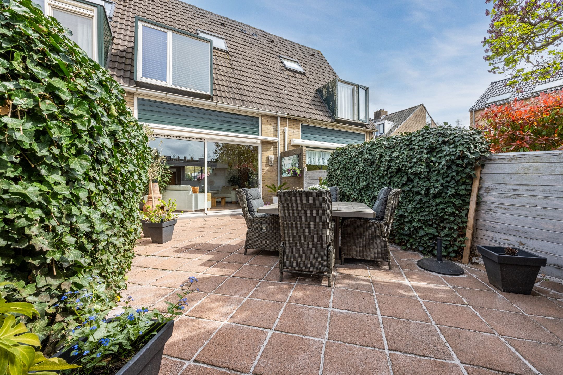 Photo 6 of Arnoldipad 3