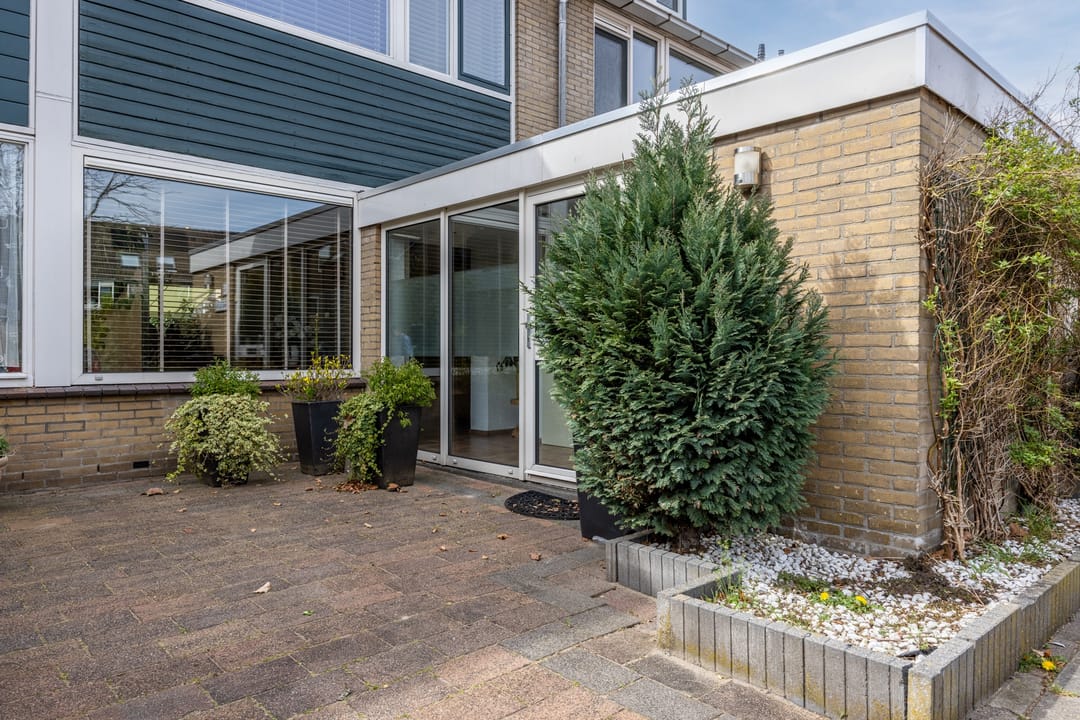 Photo 37 of Arnoldipad 3