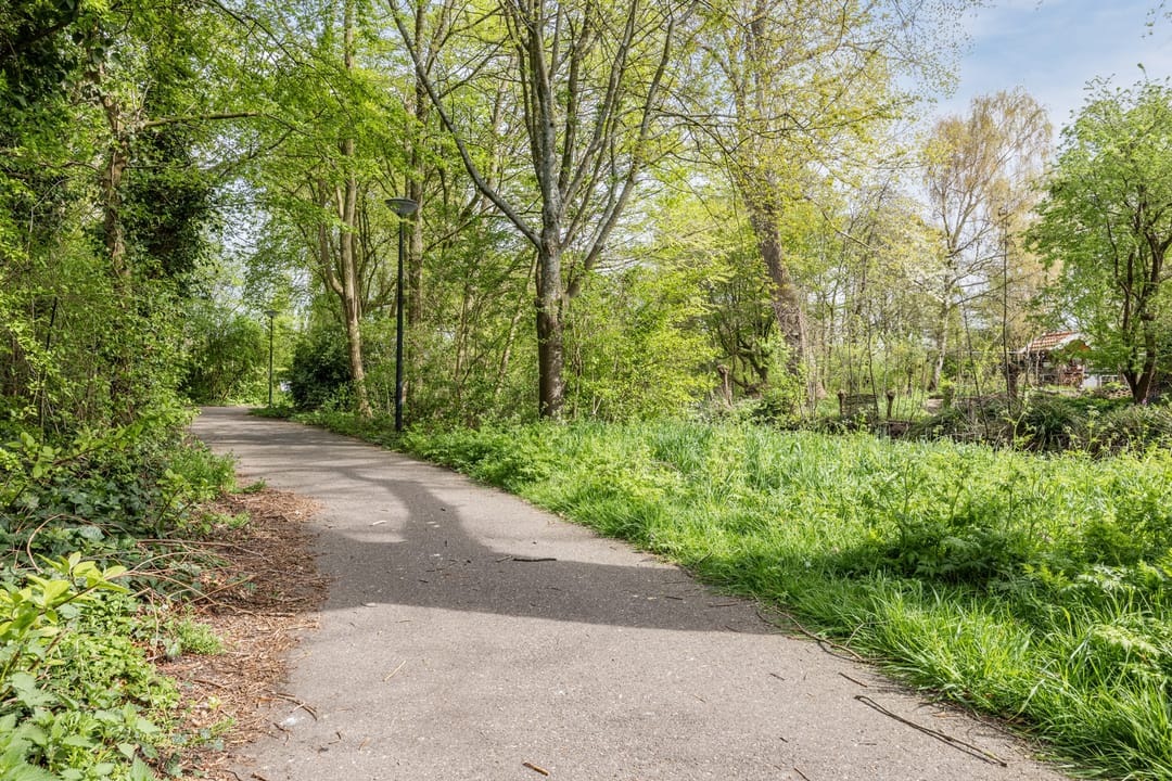 Photo 41 of Arnoldipad 3