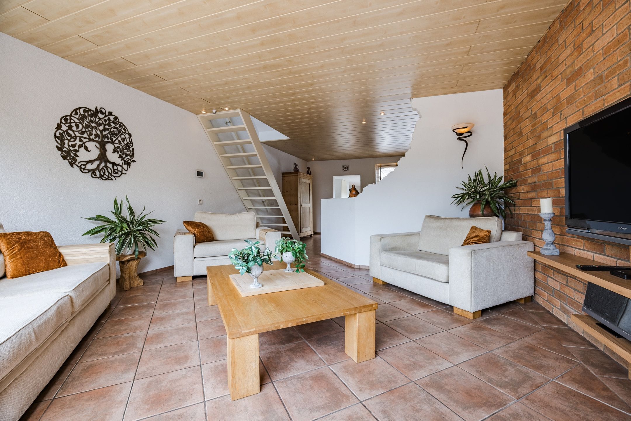 Photo 12 of Arnoldipad 3