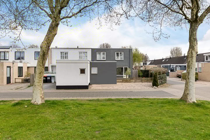 Photo 4 of Schoener 12 11