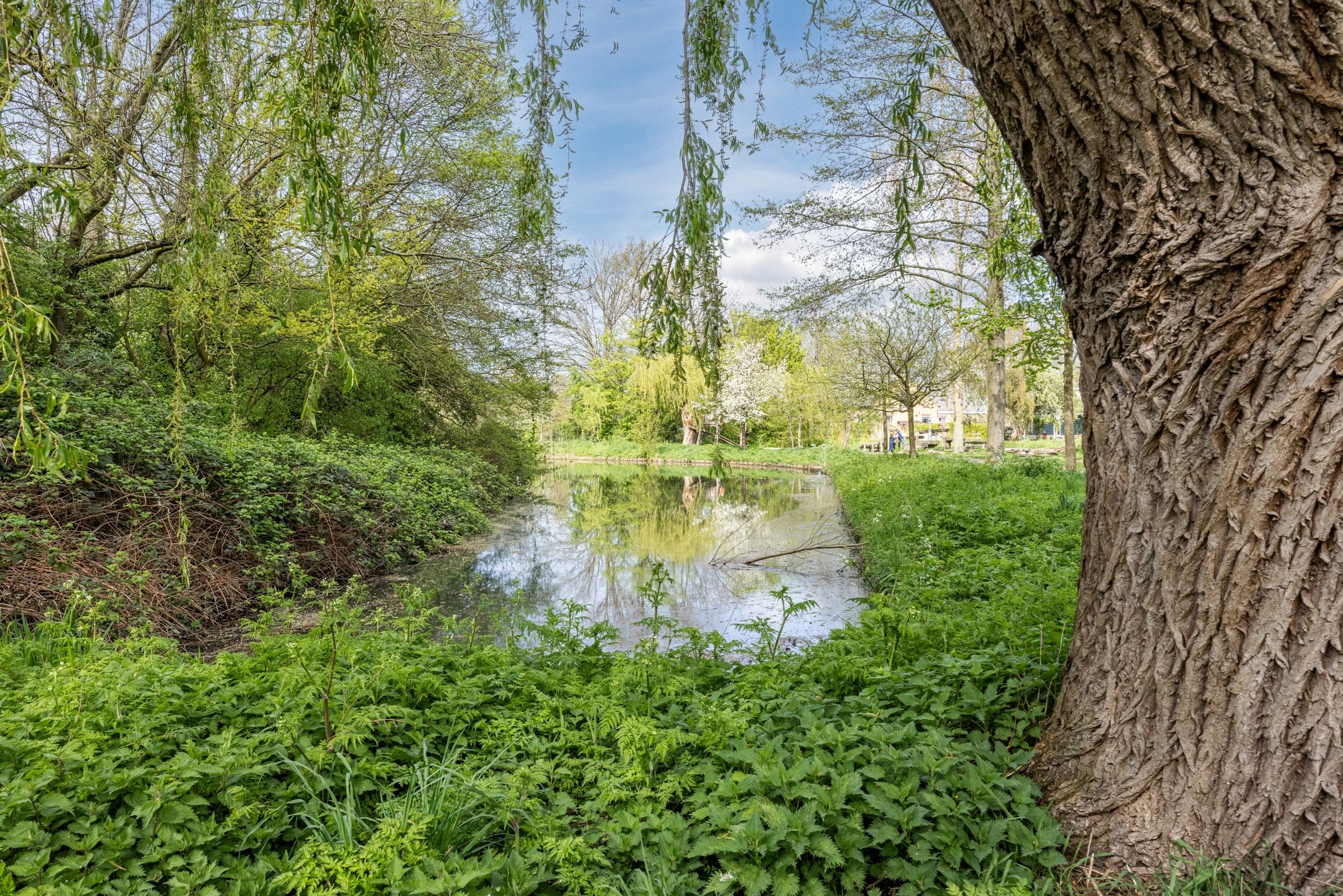 Photo 42 of Arnoldipad 3